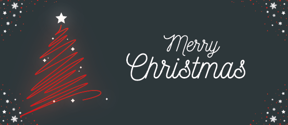 Christmas Season and Chip Box Tuning – More Power for the New Year